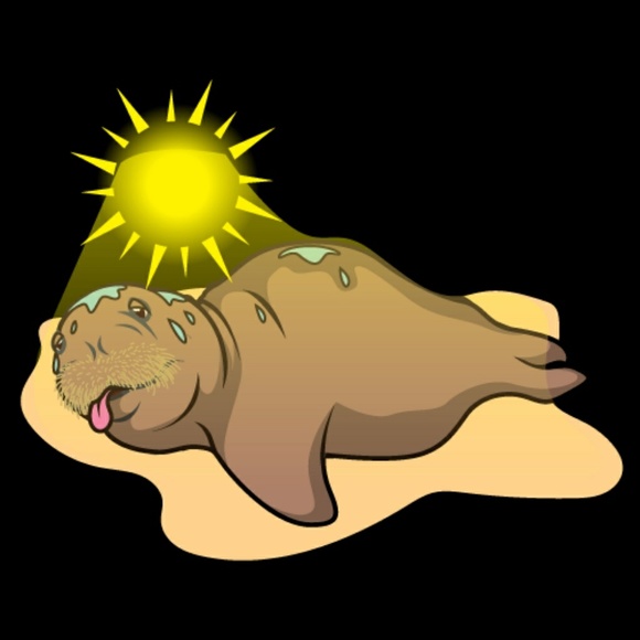 Meet your Posher, Samatha - Picture 1 of 1